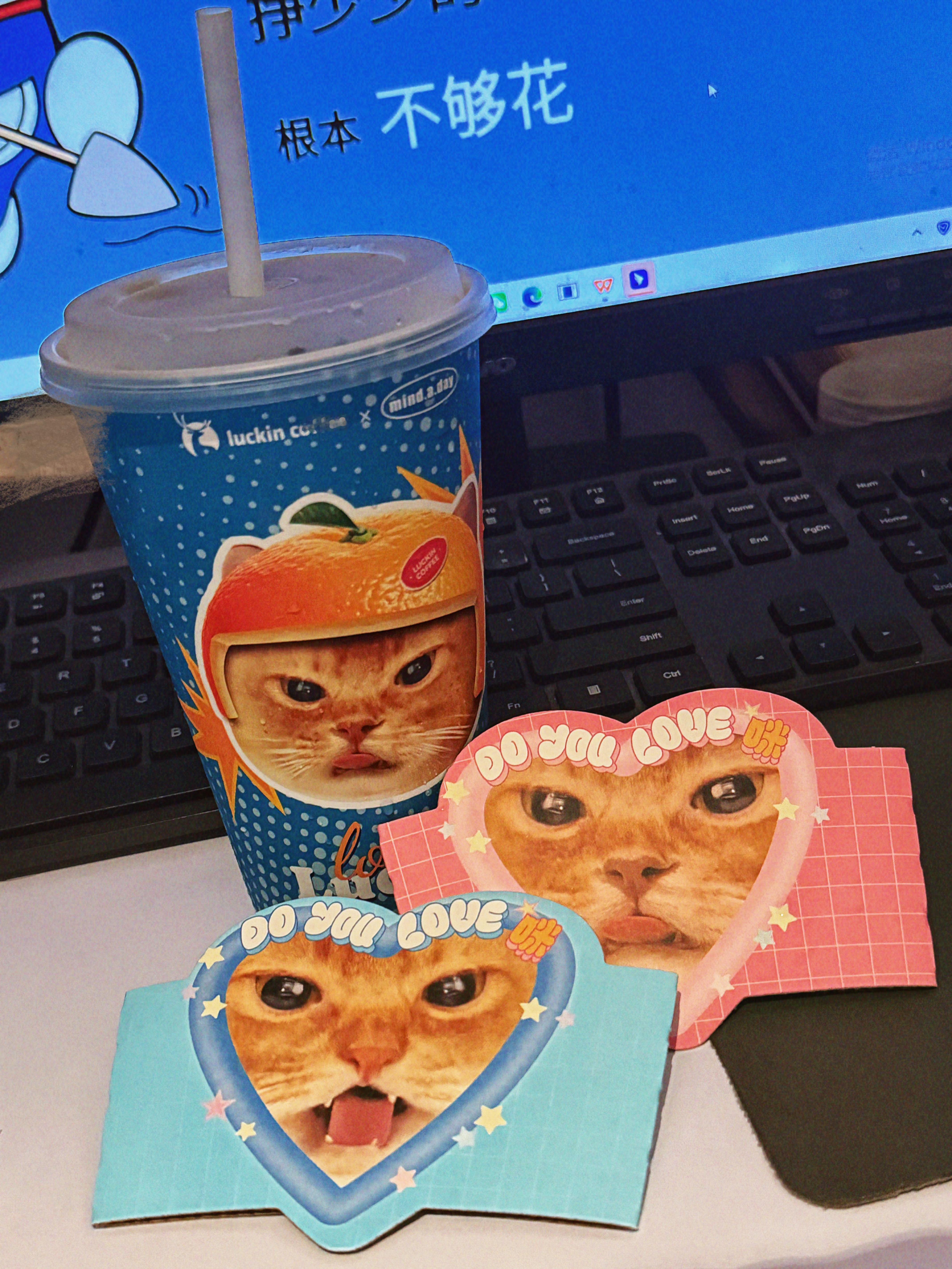 喜欢猫猫杯 ​​​