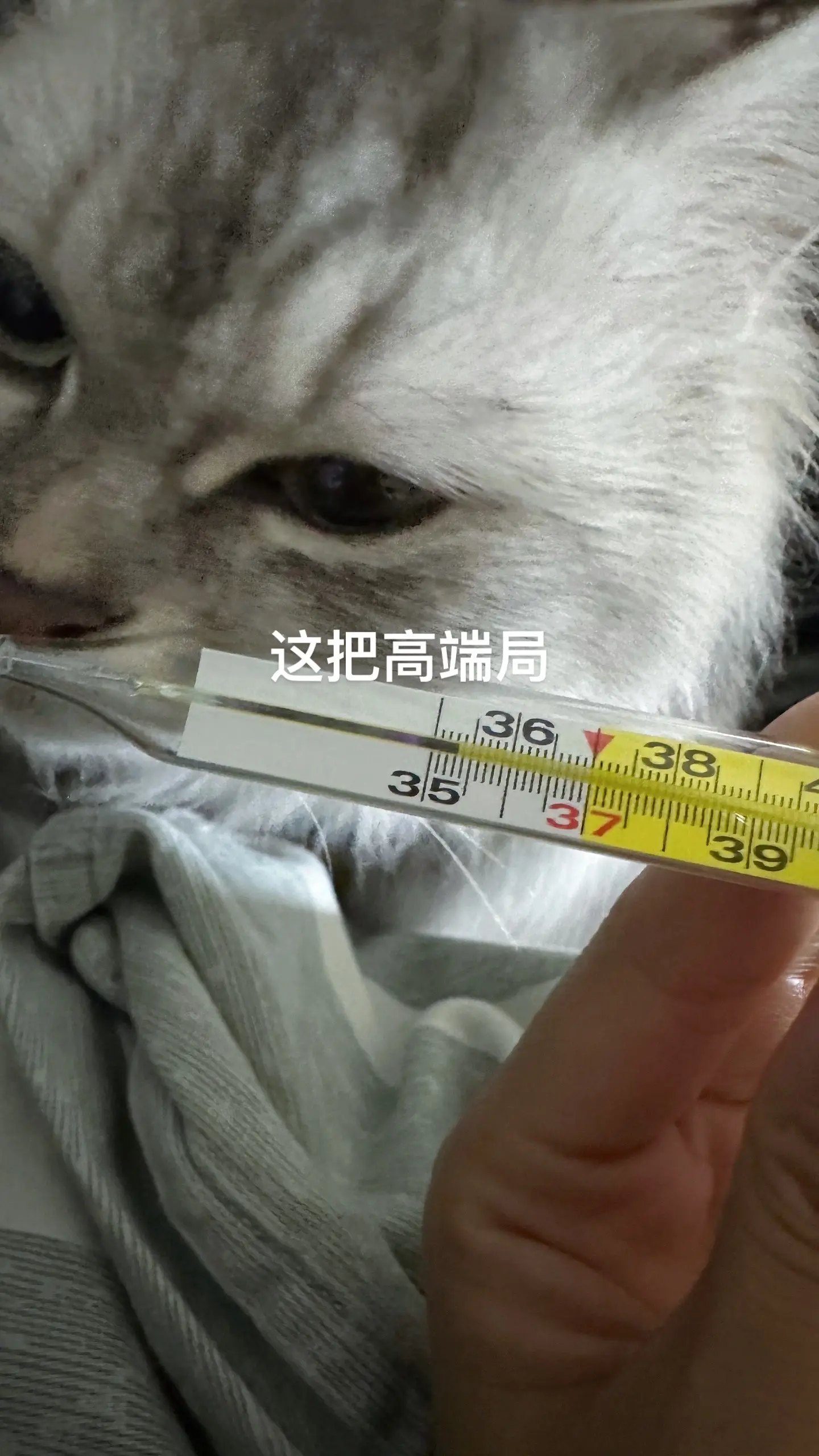 走了一趟鬼门关