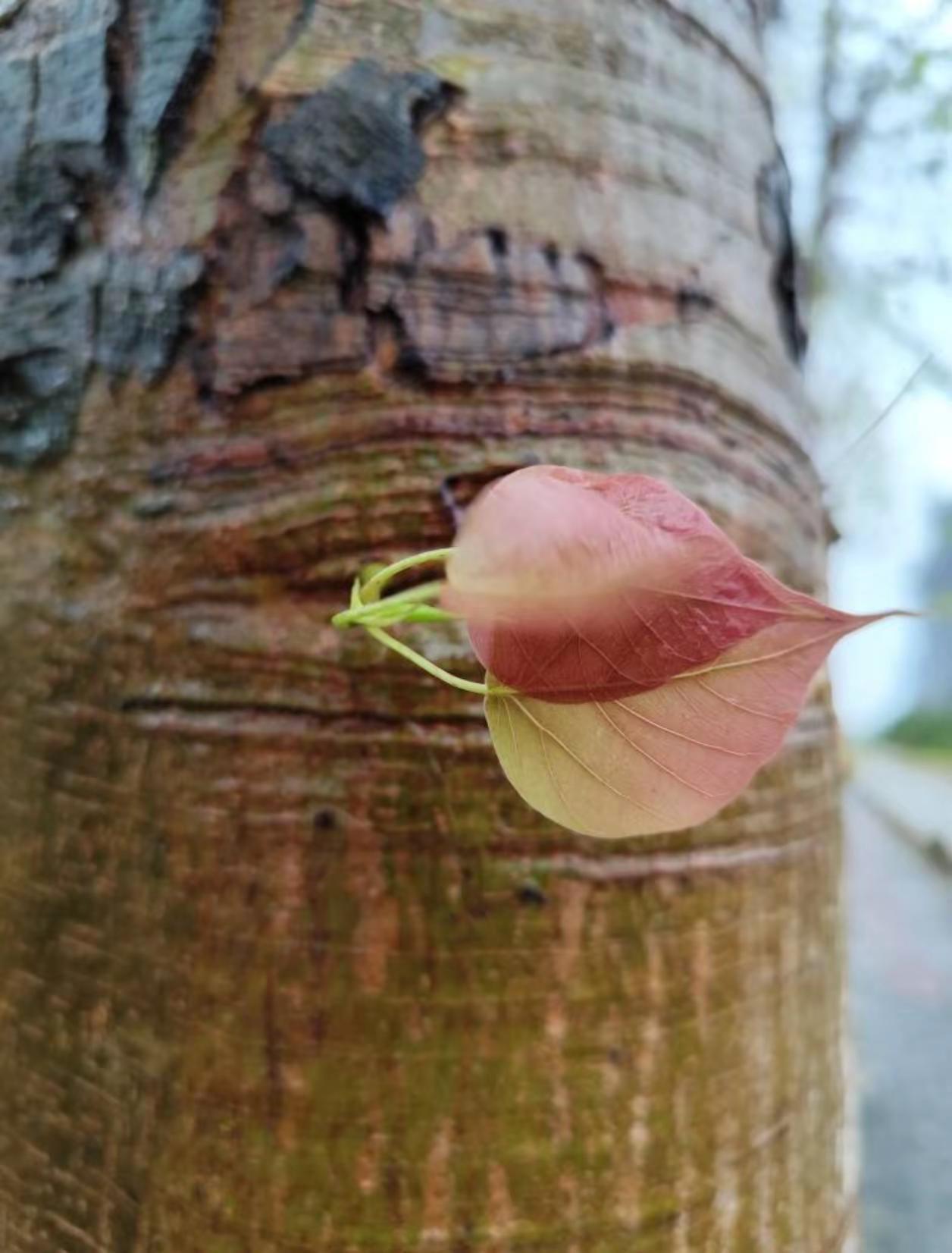 🔥🔥随走随拍📷