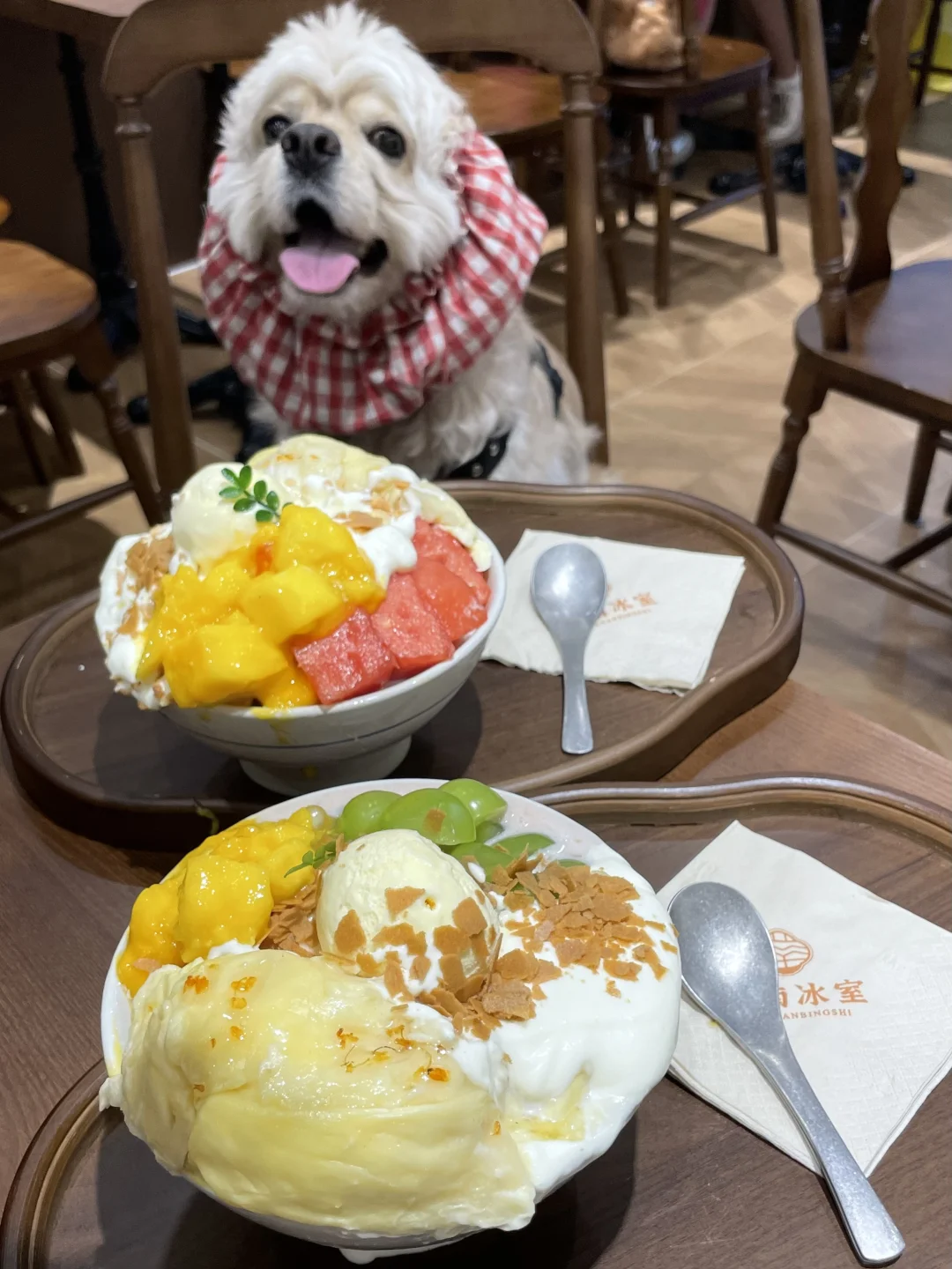 深圳！愿意和好朋友来的二人食冰室（好吃不贵