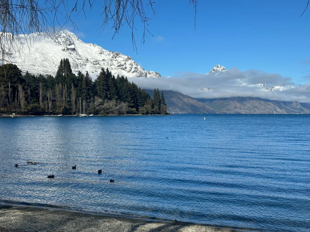 今天的快乐是瓦纳卡给的