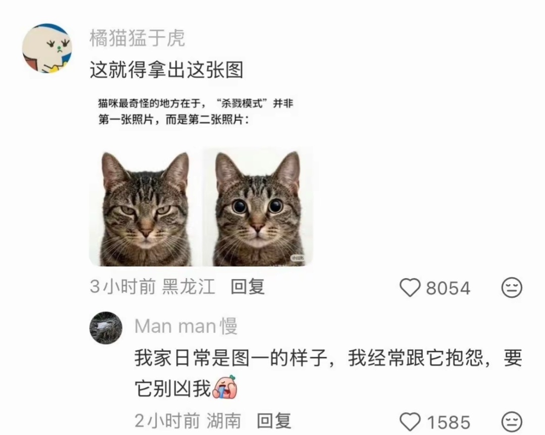 原来软柿子在人群当中这么显眼 ​​​