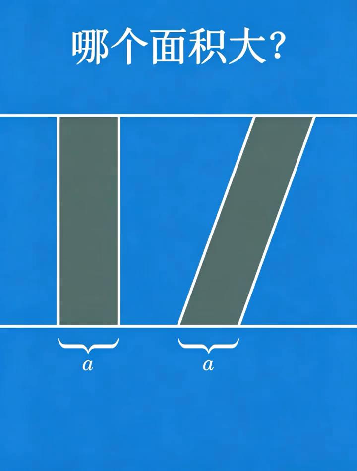 哪个面积大？
