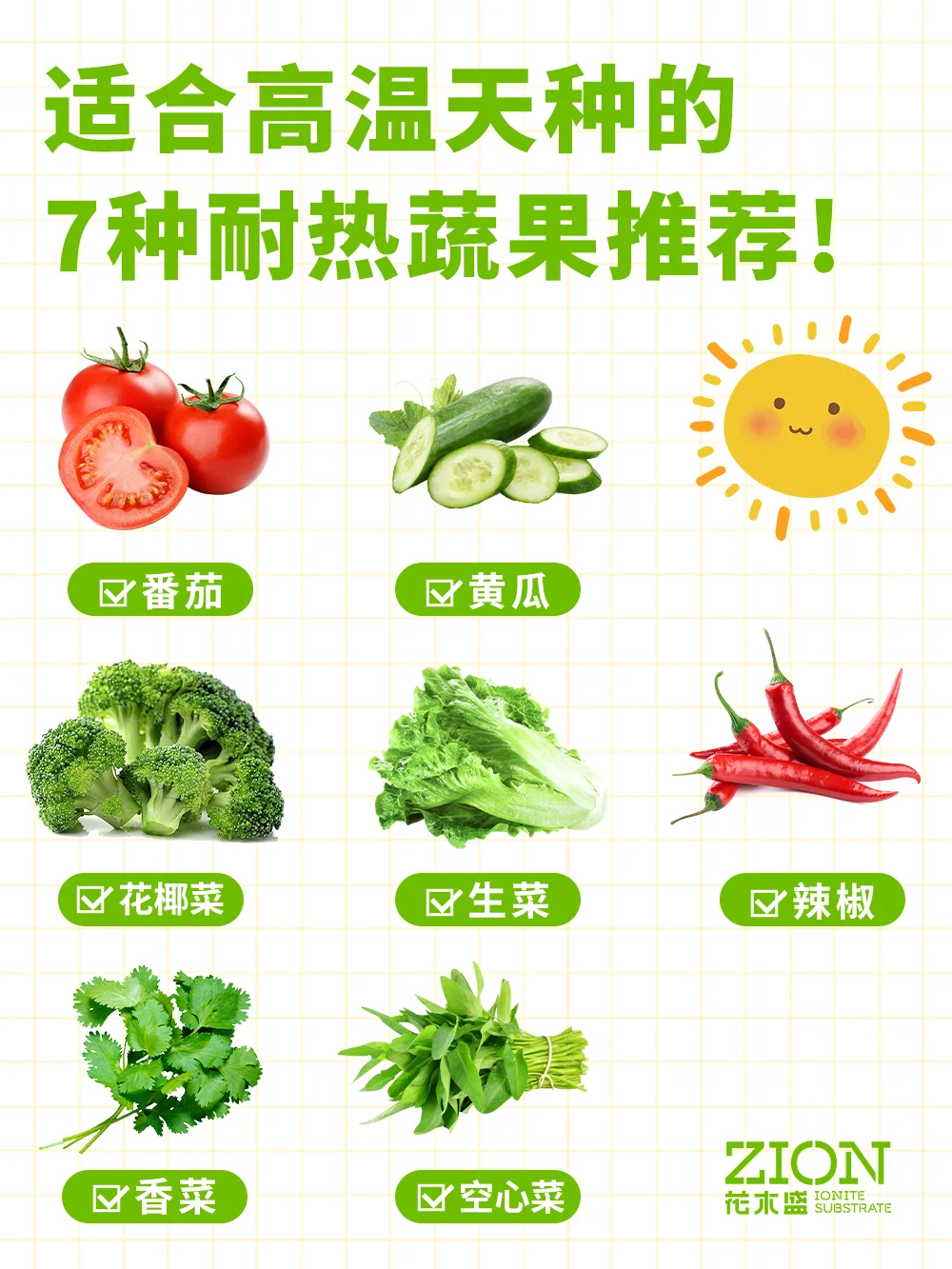 40度🔥高温天可种的7️⃣种耐热蔬果推荐