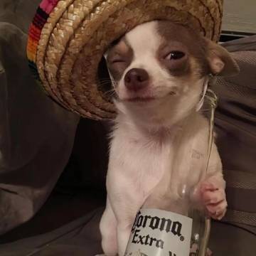 意料之外的暖心正反馈谁懂啊！只是顺手帮了个不值一提的小忙，没想到对方记了这么久，