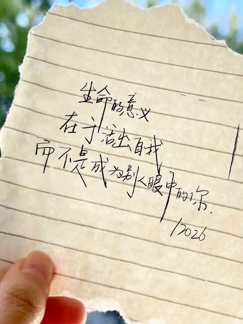 史铁生怎么这么会写 这么牛波一啊。生命的意义在于活出自我 而不是成为别人眼中的你