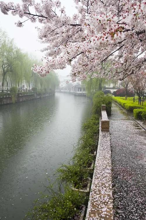 上联:寒风吹落九州雪，求下联？冷雨绽开湖北(南海)花