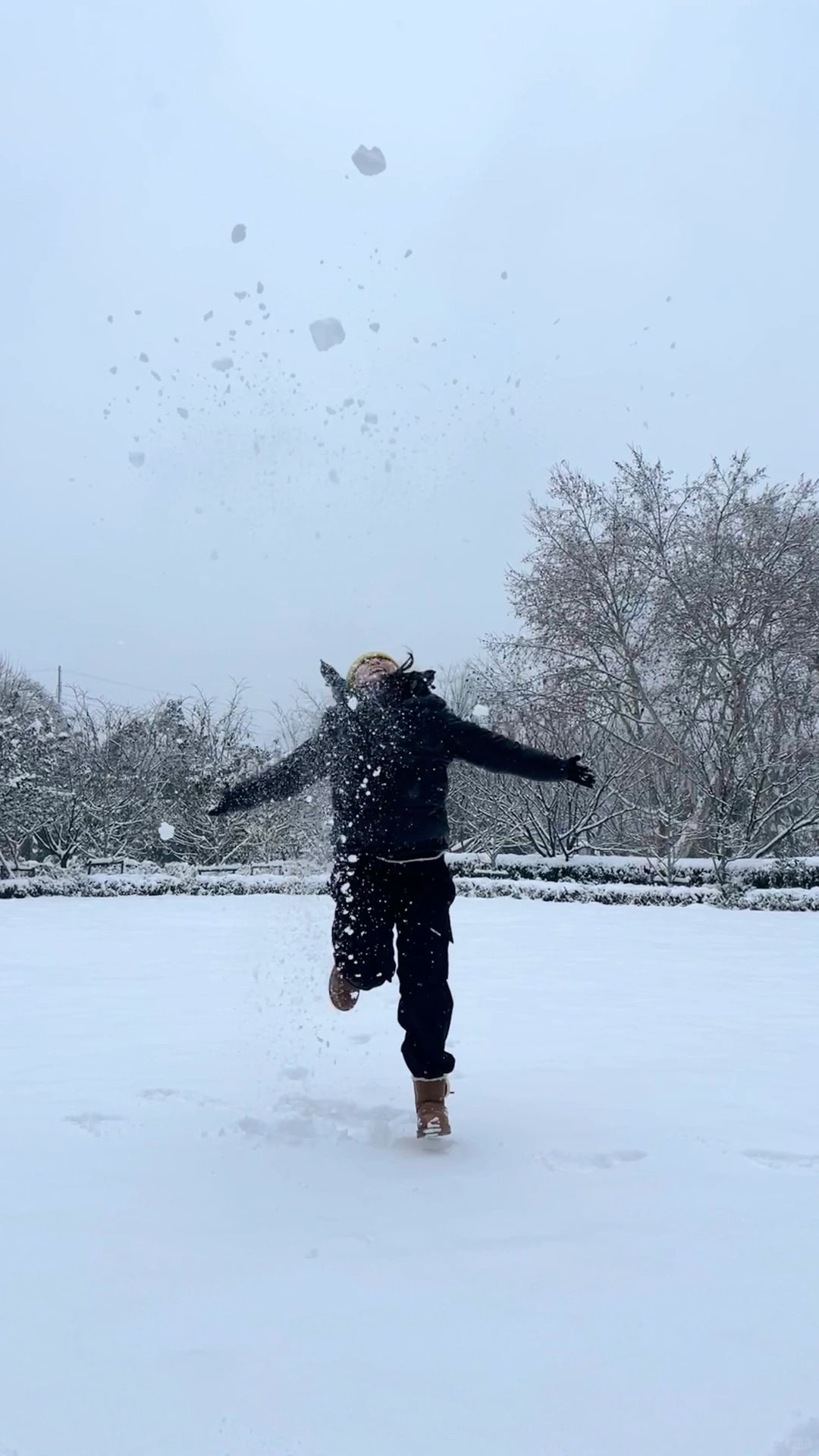 live｜去不了尔滨！武汉大雪～小土豆一样撒欢