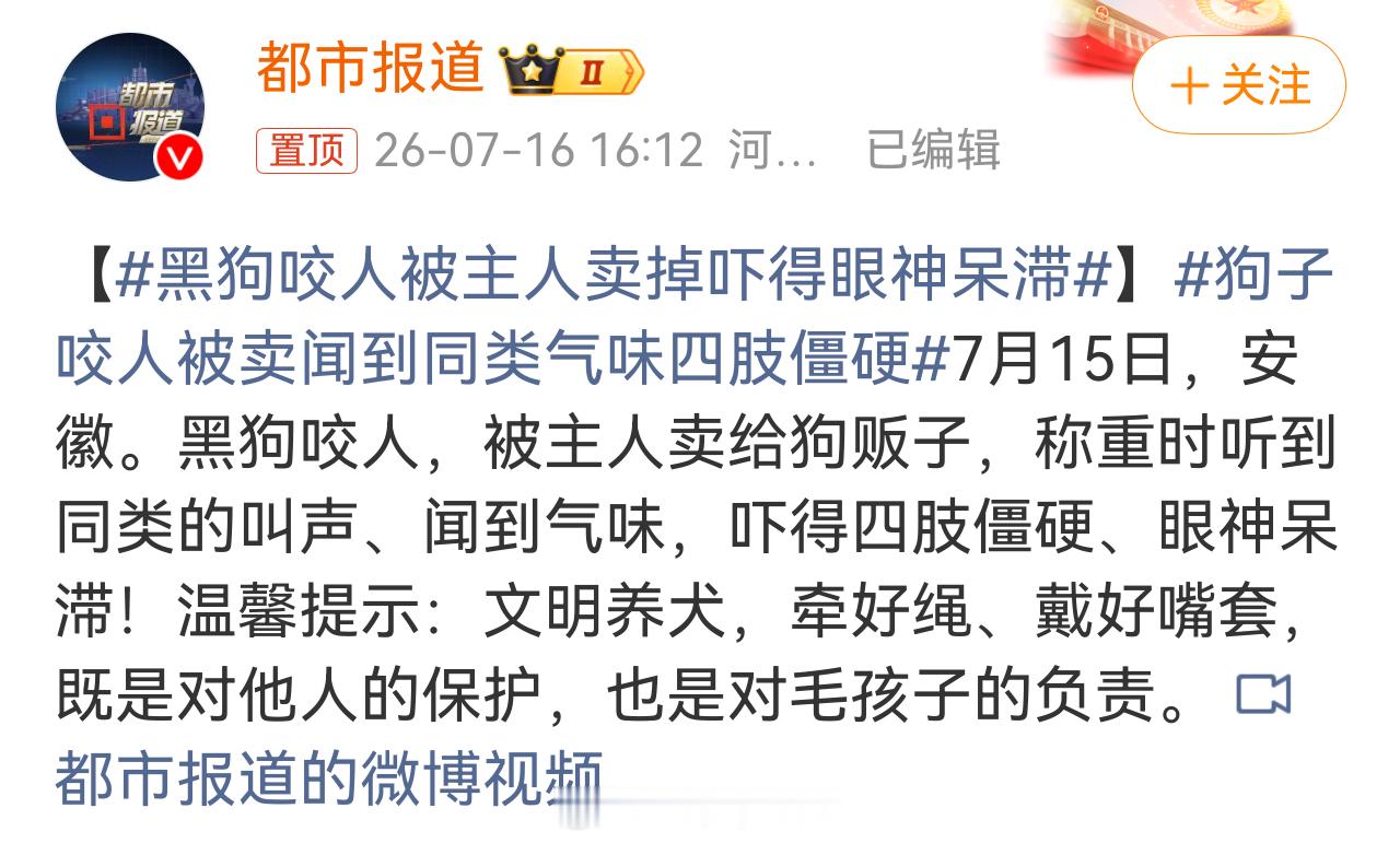 动物是动物，咬人的狗以前会直接打死的，根本不会留黑狗咬人被主人卖掉吓得眼神呆滞