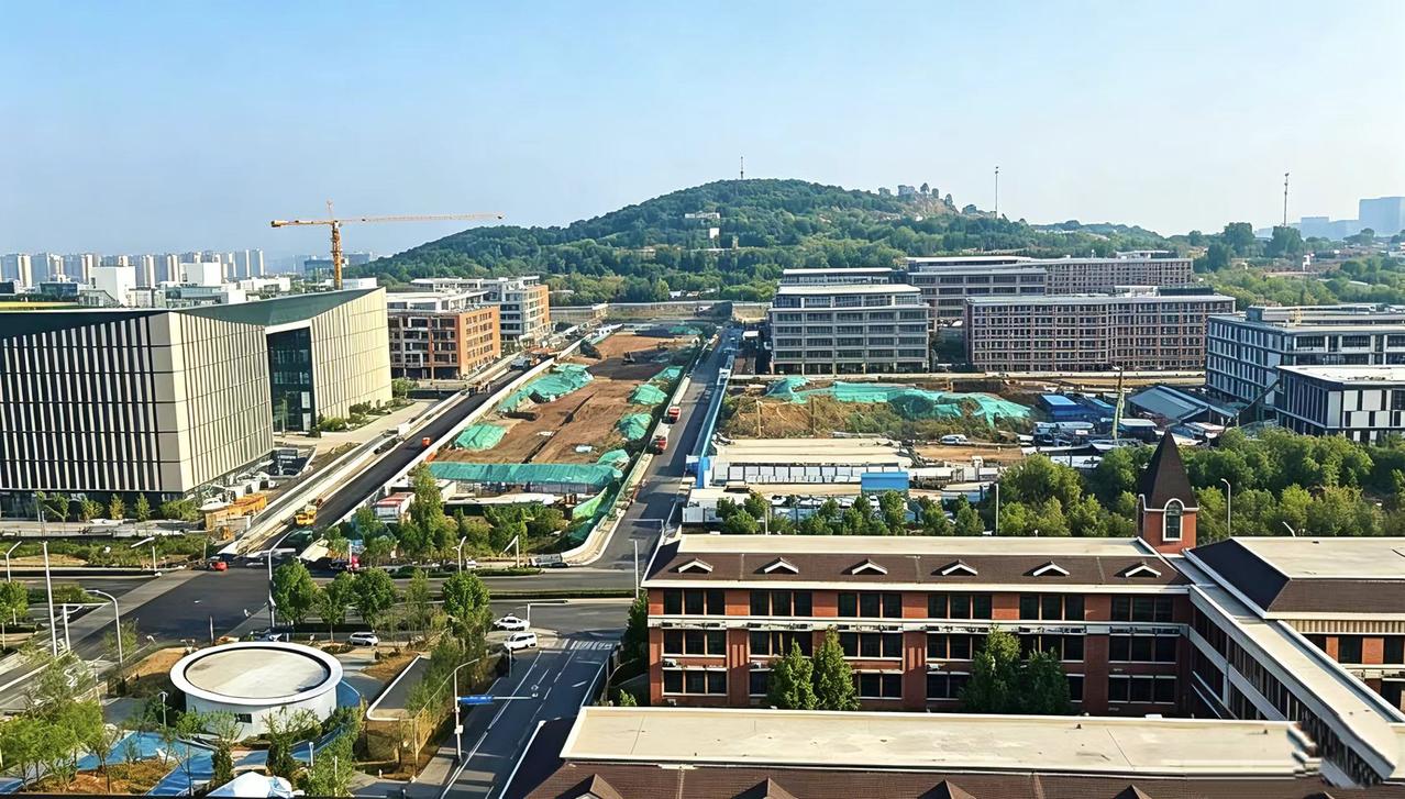 兴港路以北的绿化大道也在建设中了！绿化大道西侧文体中心加私立高中，东侧历山双语加