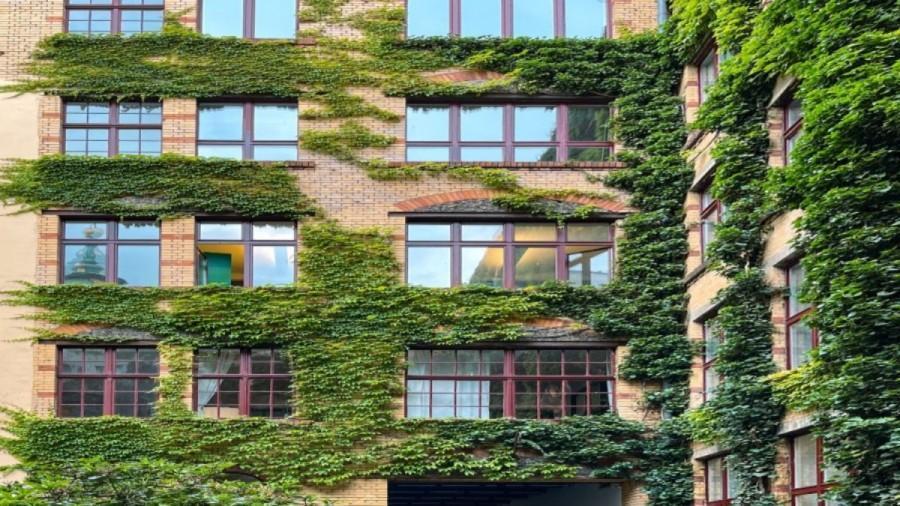 想证明眼力开挂？这张爬满常春藤的建筑图里，藏着一只猴子！
        42 