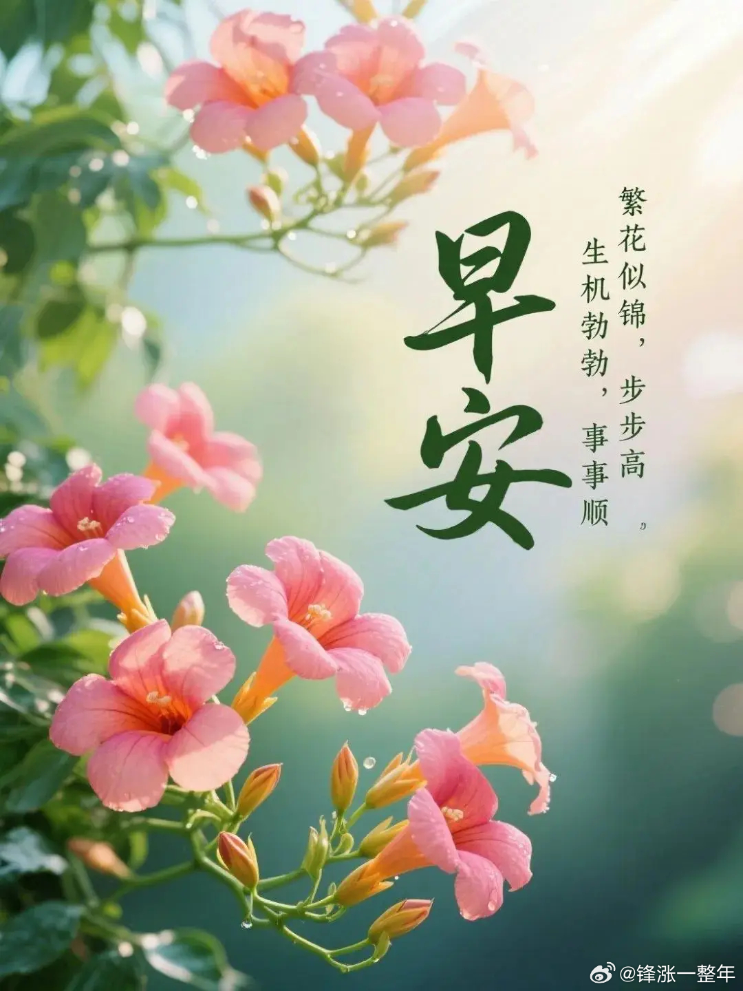 早安[鲜花][鲜花]周一[可爱][可爱] ​​​