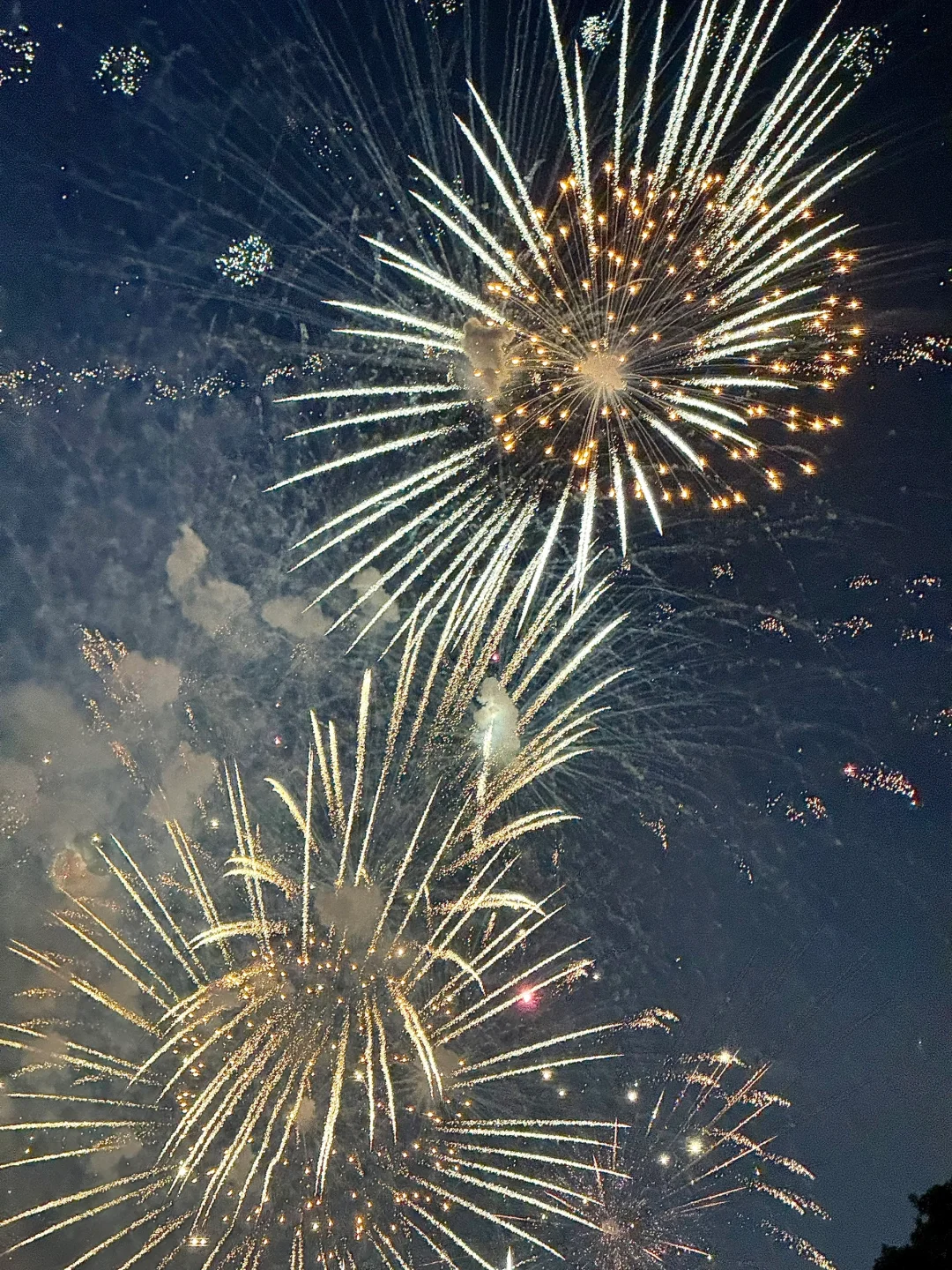 这就是live图存在的意义🎆新年浪漫烟火✨