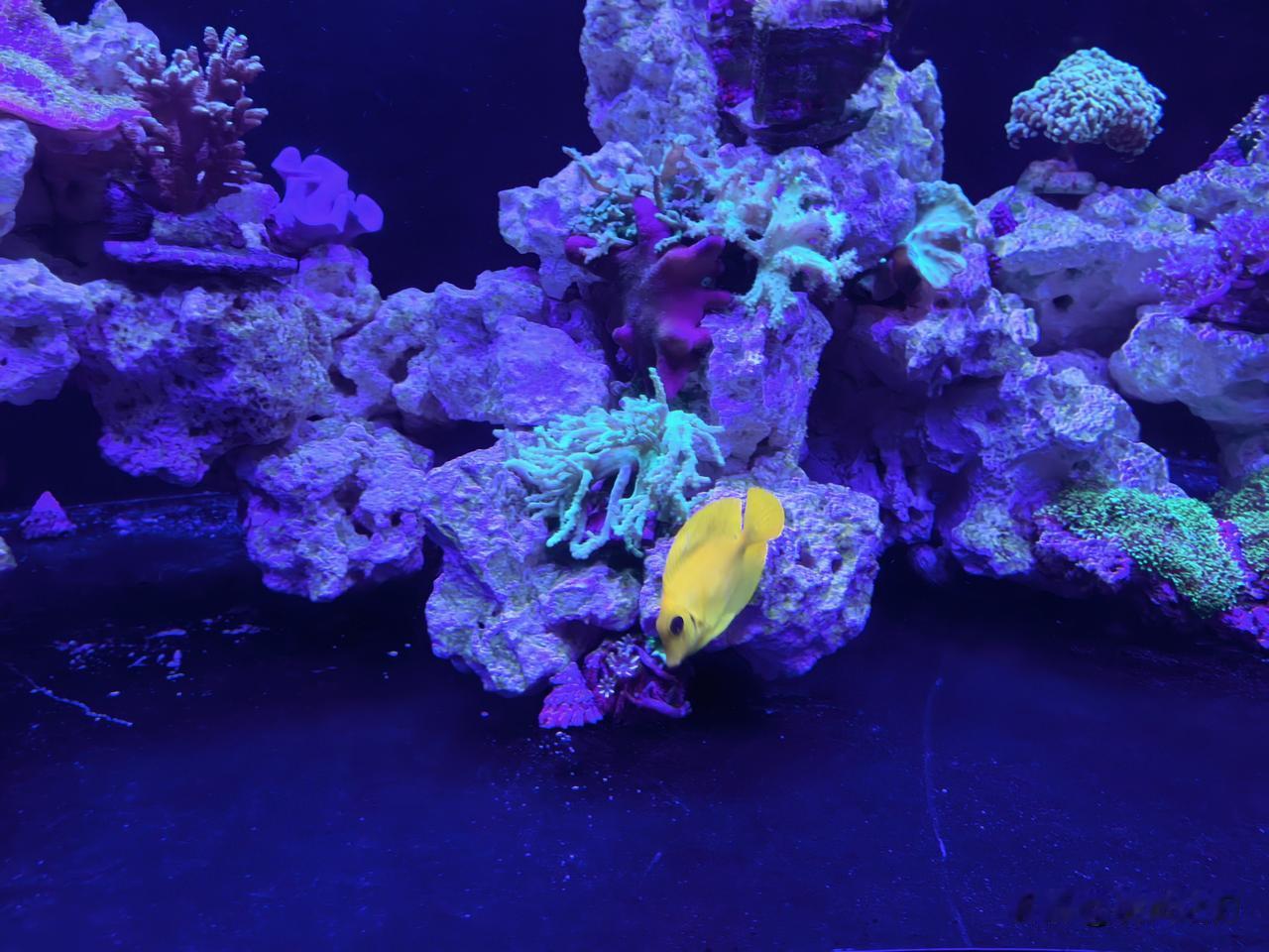 盛夏的青岛蝉声阵阵，海边热风裹挟着清爽海风扑面而来，街边老冰棍的吆喝声此起彼伏、