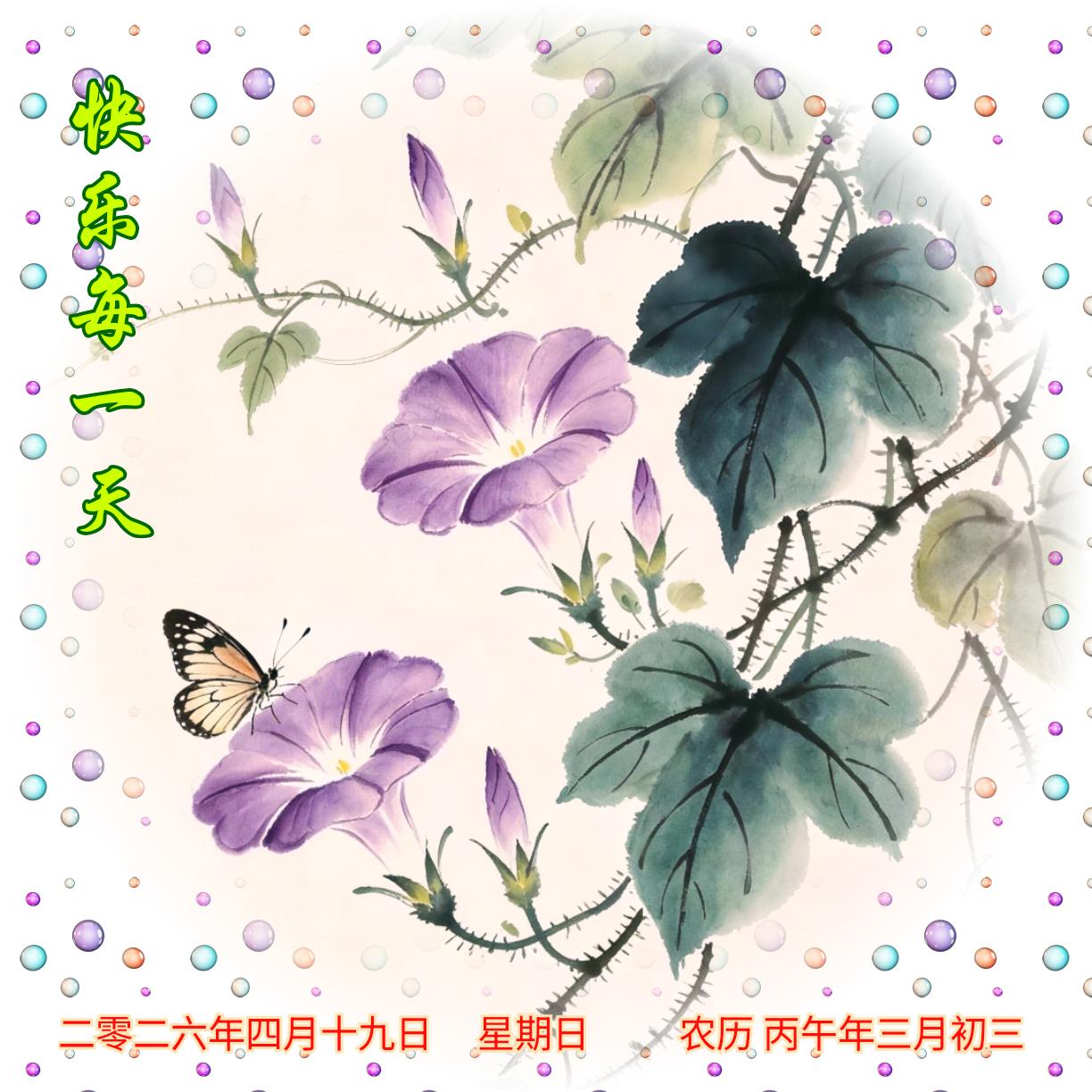 《牵牛花》
牵牛紫韵开，
蔓绿伴风来。
蝶戏芳丛上，
田园春意裁。