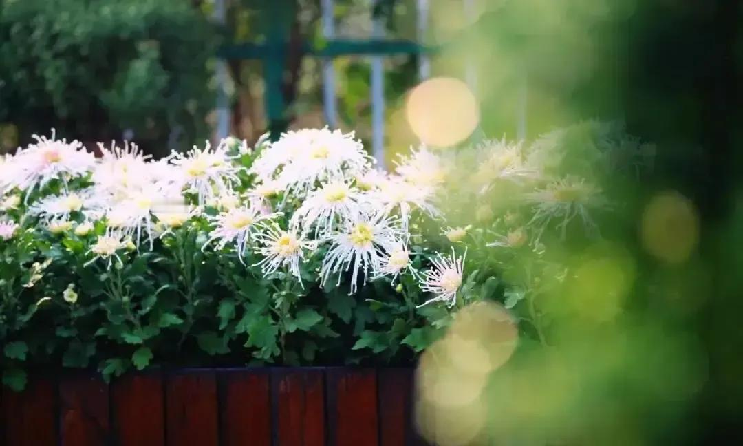 刷到李婷那句“不联系就是不够爱”，我直接把手机扣在沙发上。
三个月前我就是这样被