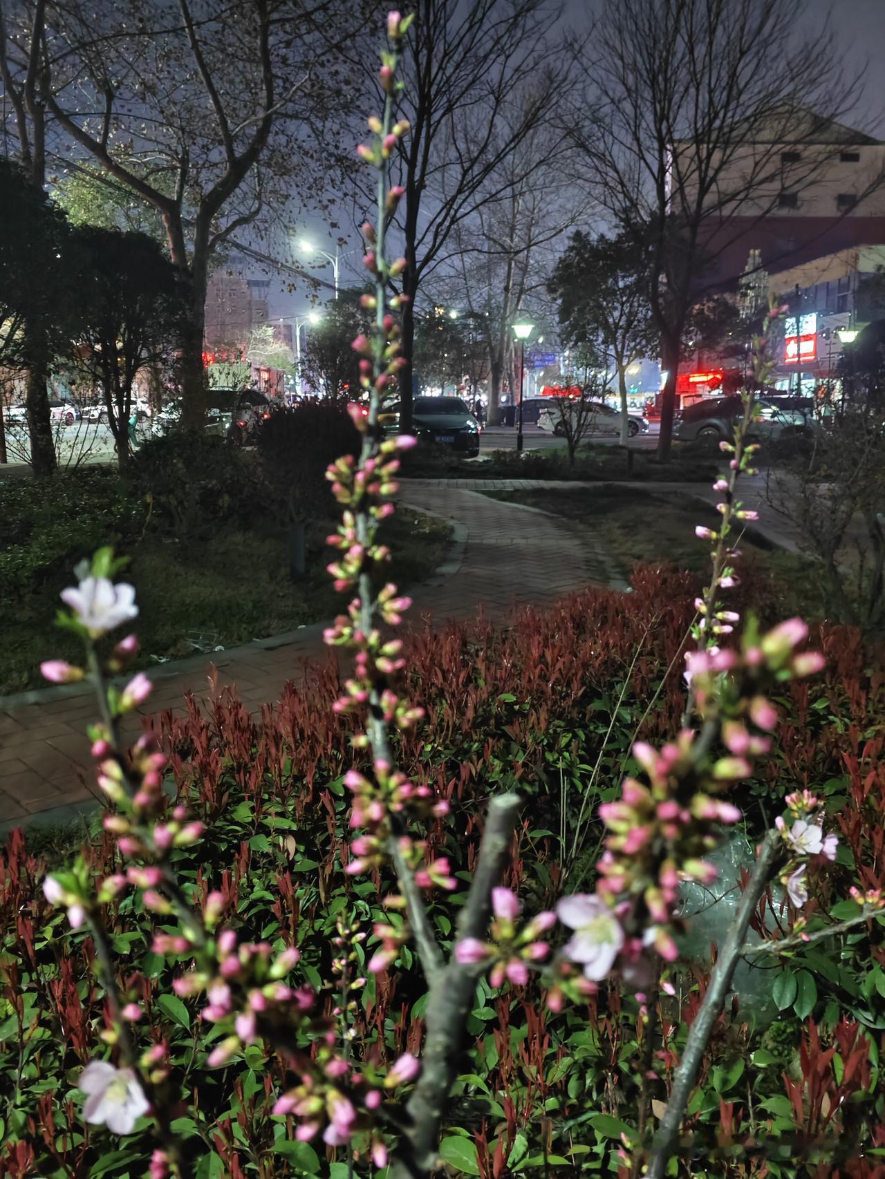 允许亲人撞南墙
“允许亲人撞南墙”应该是不被父母偏爱的子女，减少内耗的最好方法。