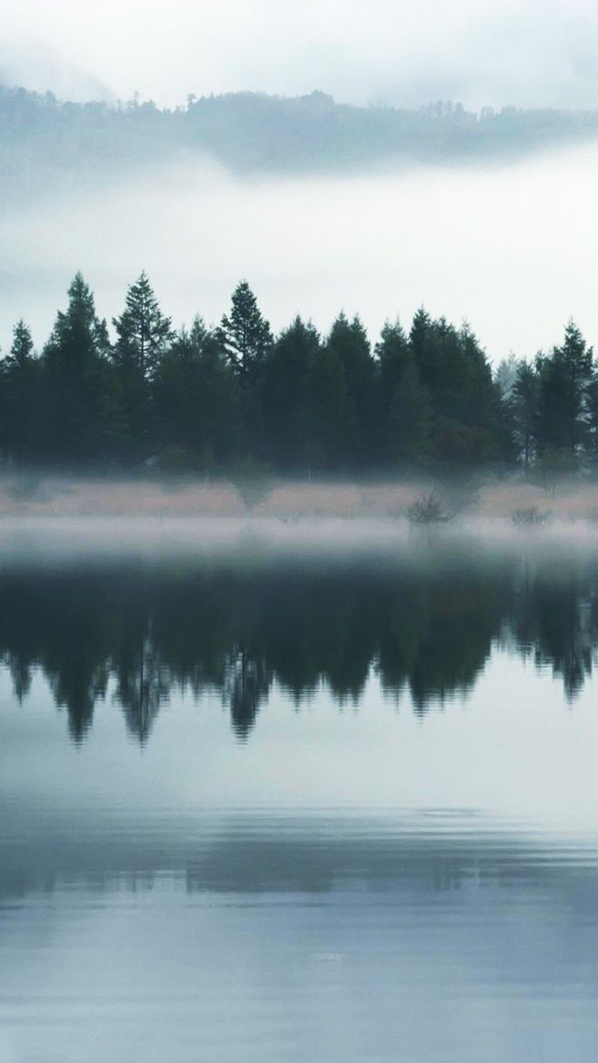 虚无间，缥渺间，南来间，北往间，西去间，东来间，白驹过隙，已是匆匆。 