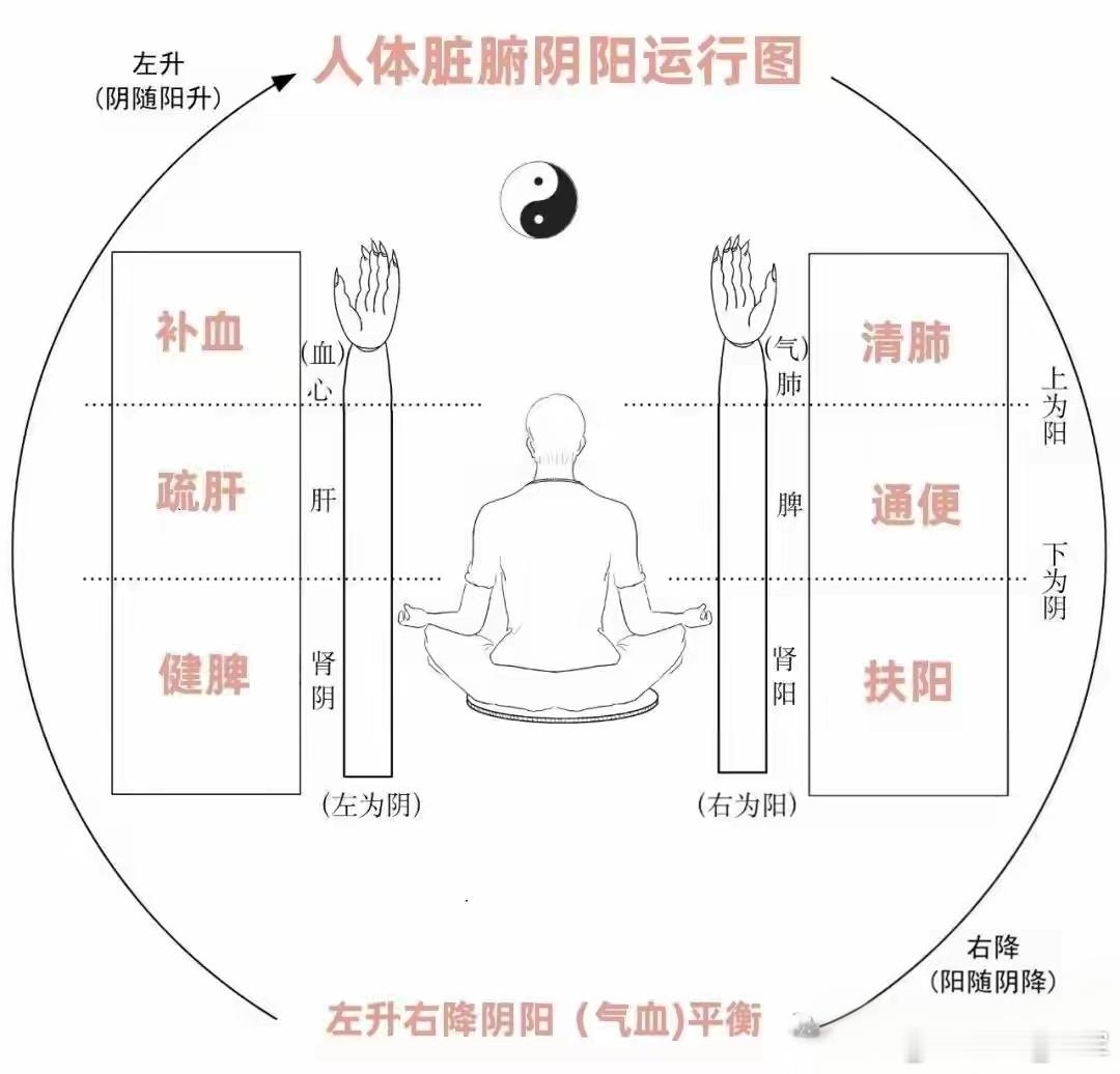 中医调理的5个底层逻辑：越懂越健康，比吃药更管用从事中医调理多年，见过太多人陷入