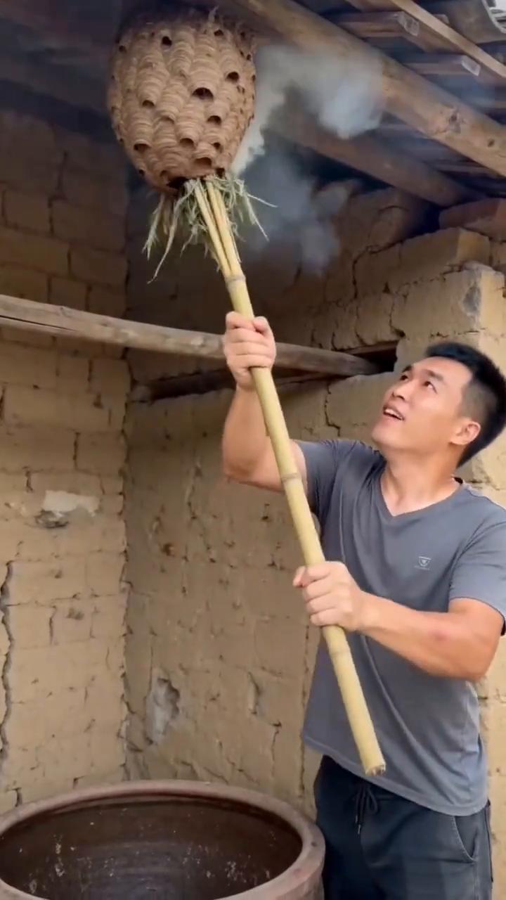 AI捅蜂窝遭蜂反噬，搞笑视频太逗了。