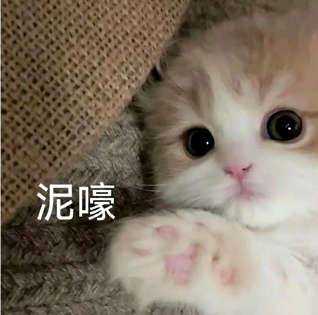 小猫打招呼猫爪是会开花的🥺周柯宇开始推理吧﻿ /周柯宇陆西骁