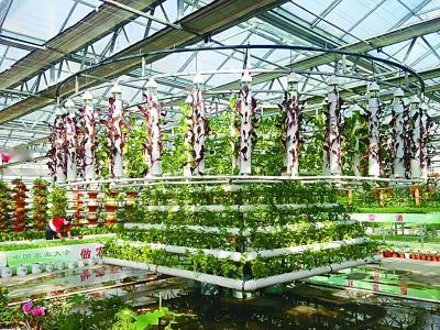 未来农业的发展趋势是立体农业是高质量发展的农业？是智慧农业，是高效农业？特别是水