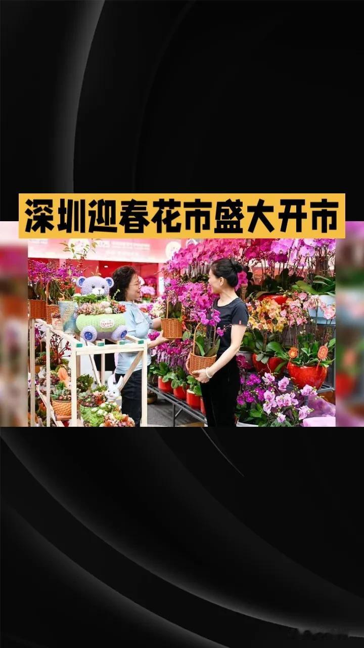 深圳迎春花市作为每年春节前的重头戏，不仅吸引了众多本地市民前来选购，也引来了不少