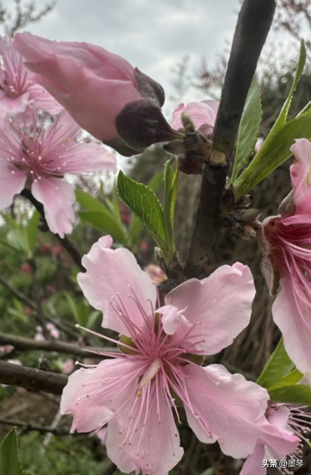 你信吗？夫妻之间无论还有没有感情，他们一直都在试探对方的底线。


许多人总是疑