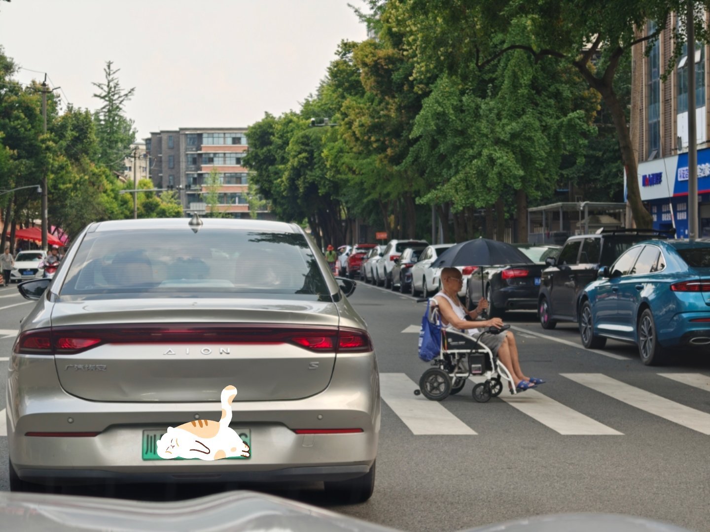 马路之王。汽场全开大v聊车 ​​​