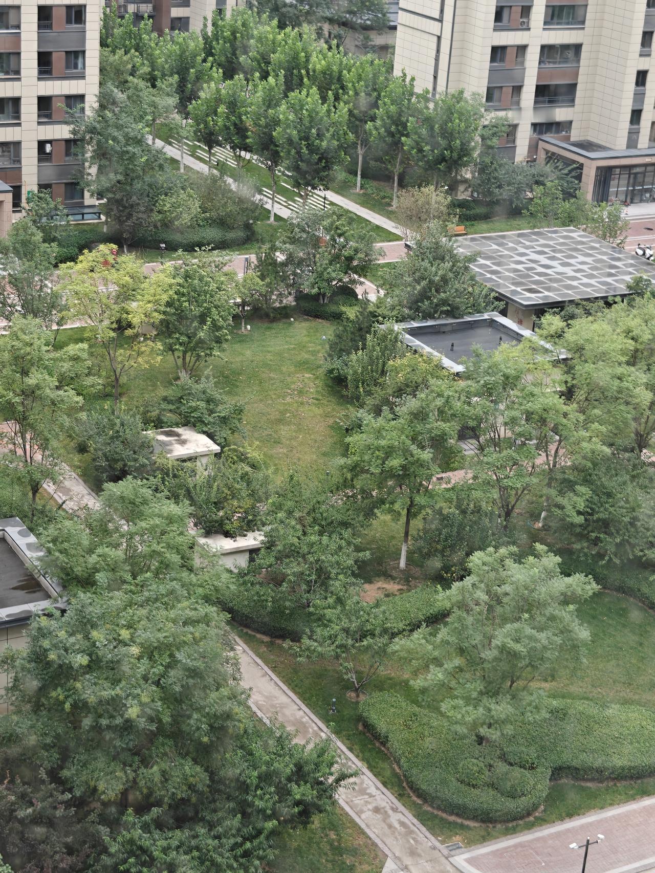 秋日生活打卡季一夜秋雨潇潇寒意至