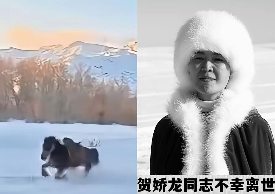 她坠马的时候，一只脚被马镫挂住，随后，被马拖行，一下子被拉到了马肚子下面！马蹄狂