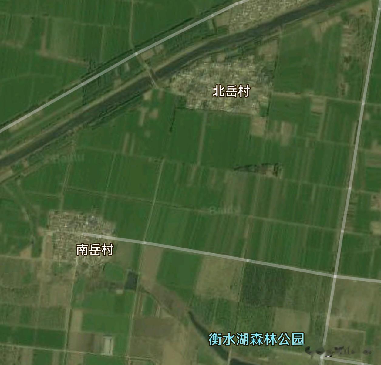 衡水湖畔，有两个相邻的古村——南岳村、北岳村，南岳北岳跑一起去了。这俩村据史料记