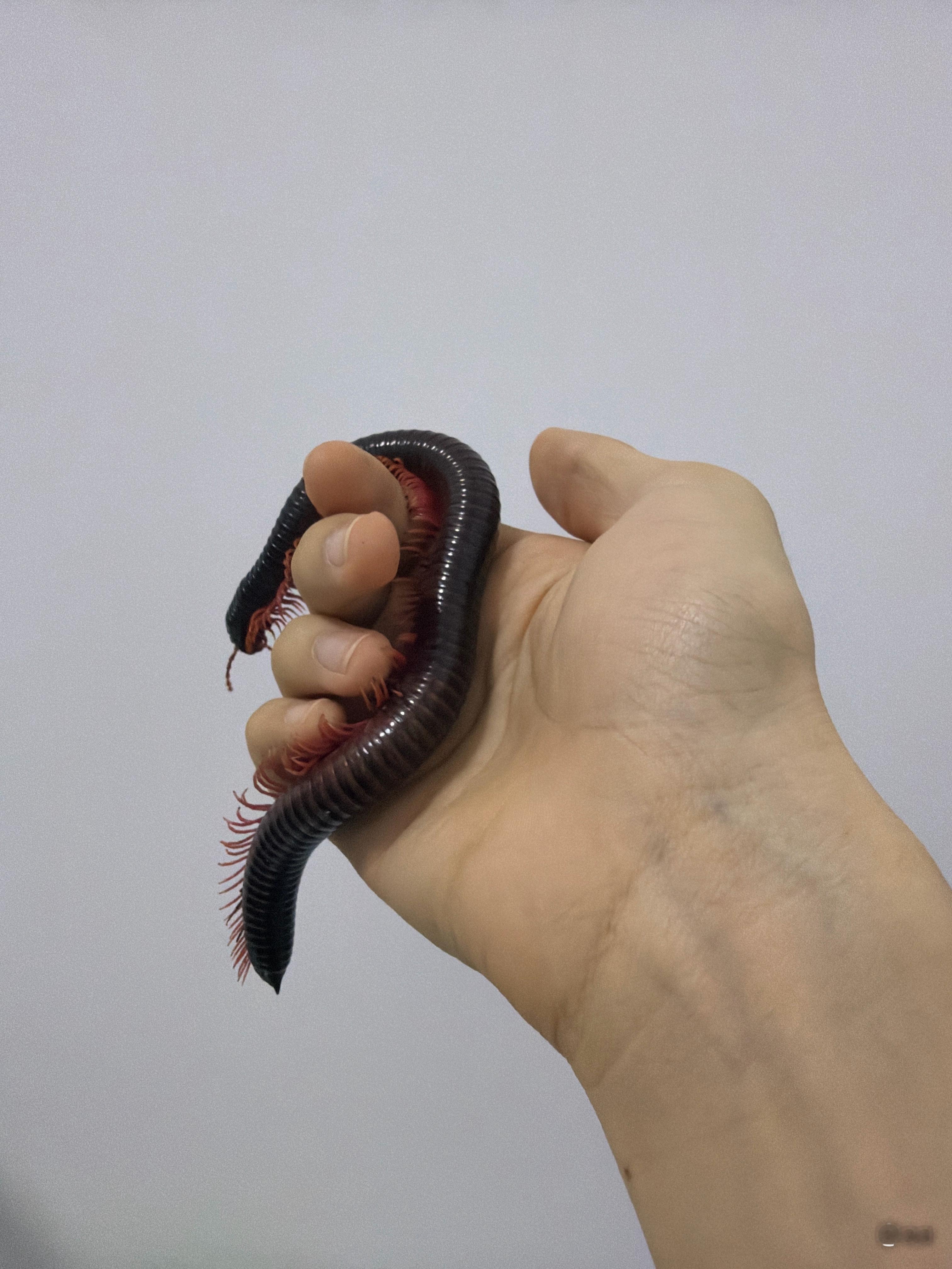 ？ 