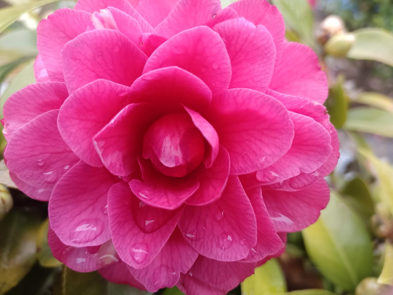 一部电影，在一生印记在头脑上，《英雄儿女》的影片，深深地融入实践之中，勇者制胜。