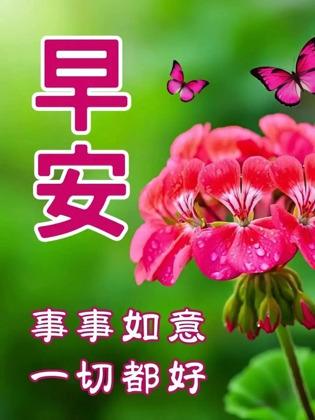 早上好，愿大家追求美好，花好月圆[送自己一朵花][送自己一朵花][送自己一朵花]