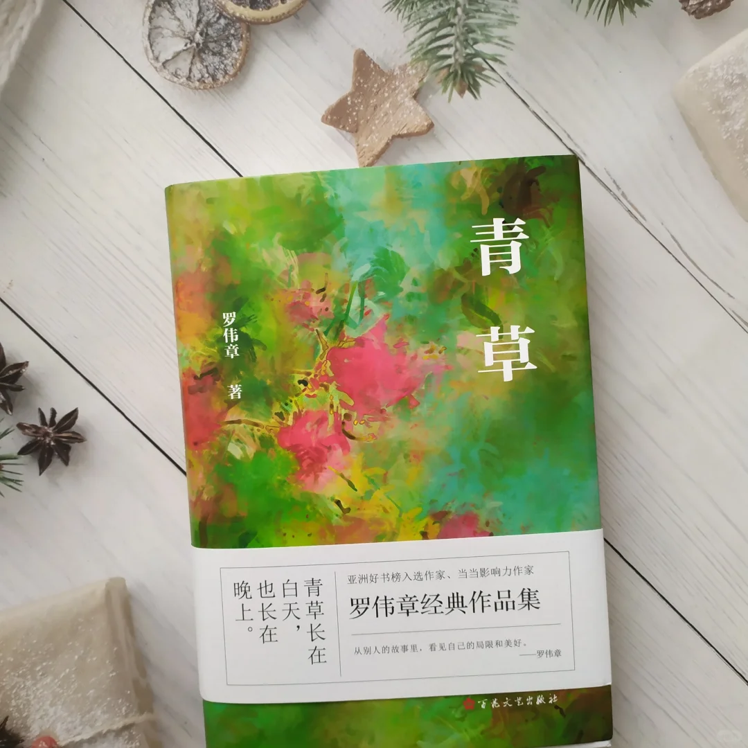 在充满生活气息的题材中粹取人情之美