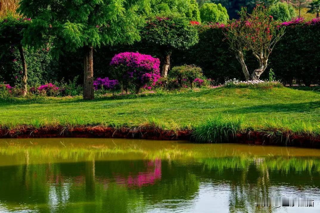 弥勒，一个顶着佛名的县级城市，在红河卷烟厂和国家石漠化专项资金的加持之下，静谧温