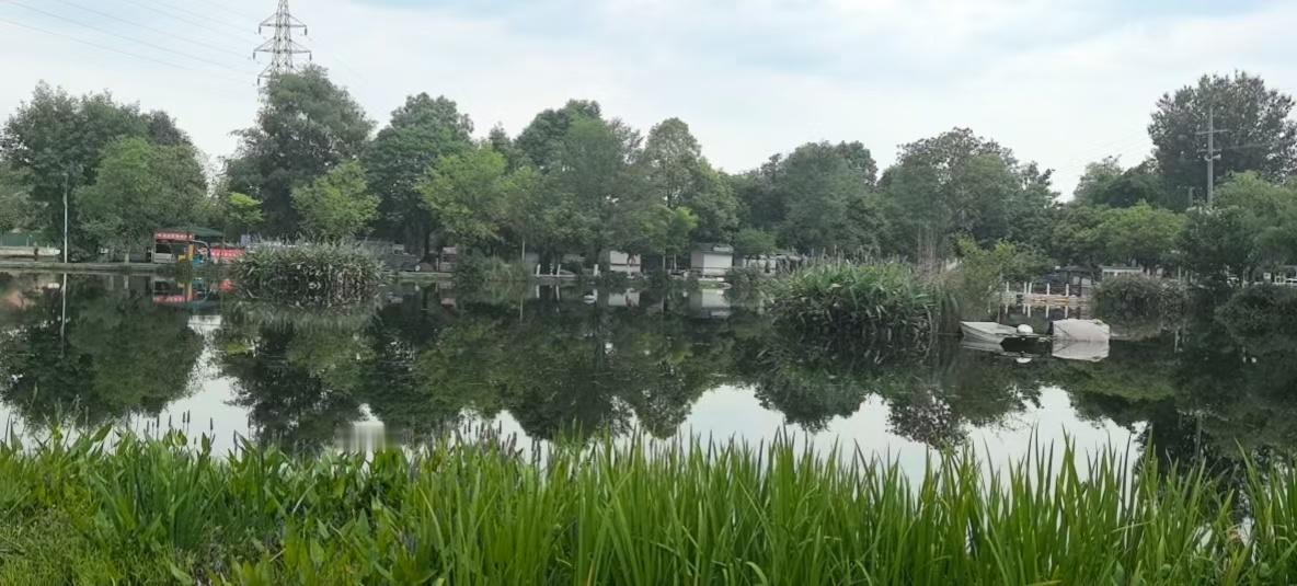 最美的天空 成都·香草湖湿地公园