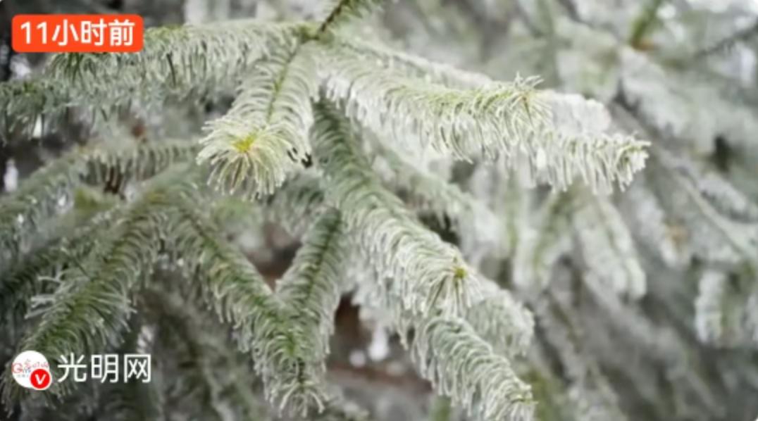 这天气简直让人怀疑人生！就在几天前，当北方的朋友们在寒潮里冻得瑟瑟发抖时，我们国
