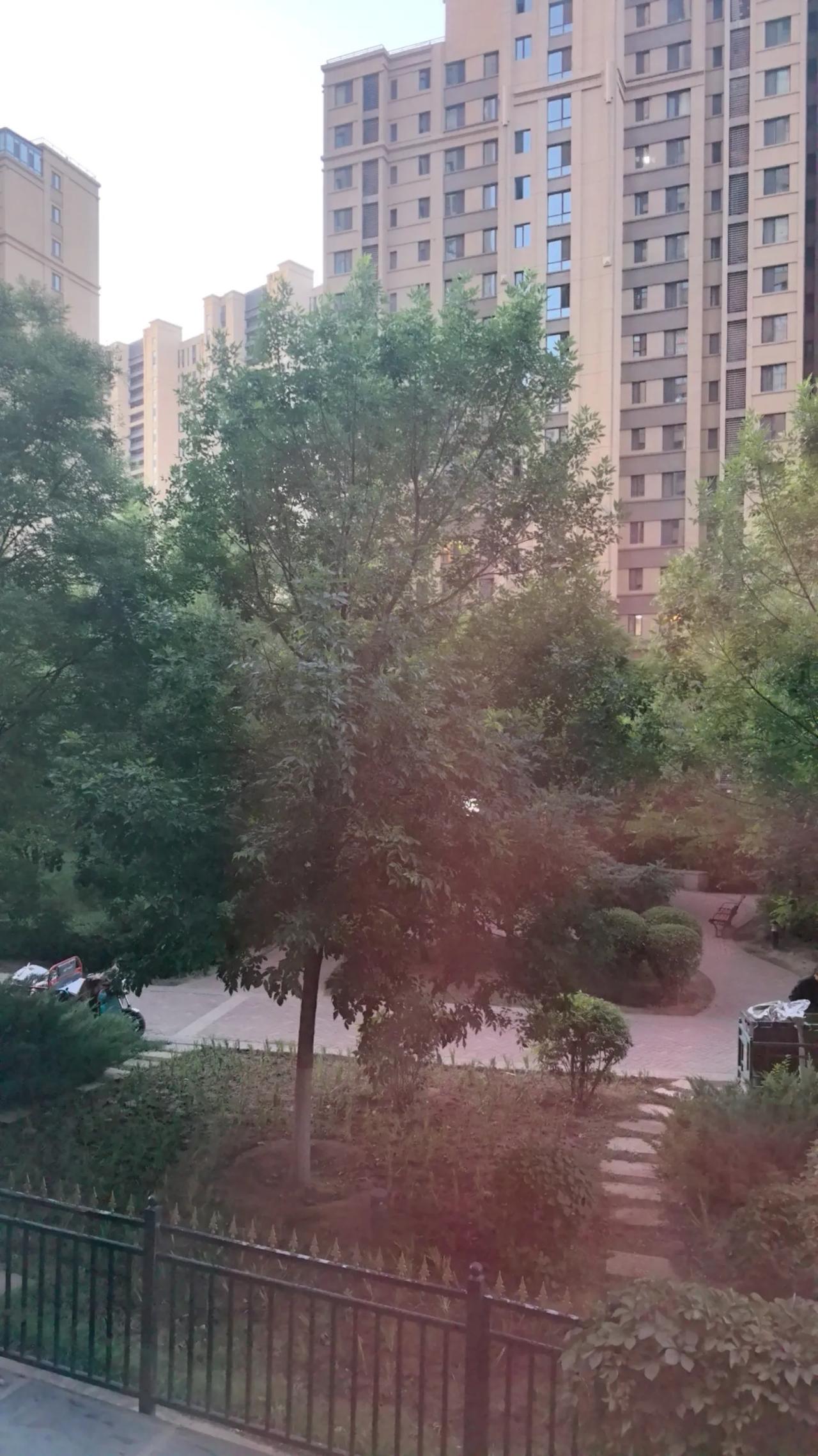 昨天上午，邻居高兴地说，她以后回老家很方便了，呼和浩特市到锡林浩特市通了动车，6