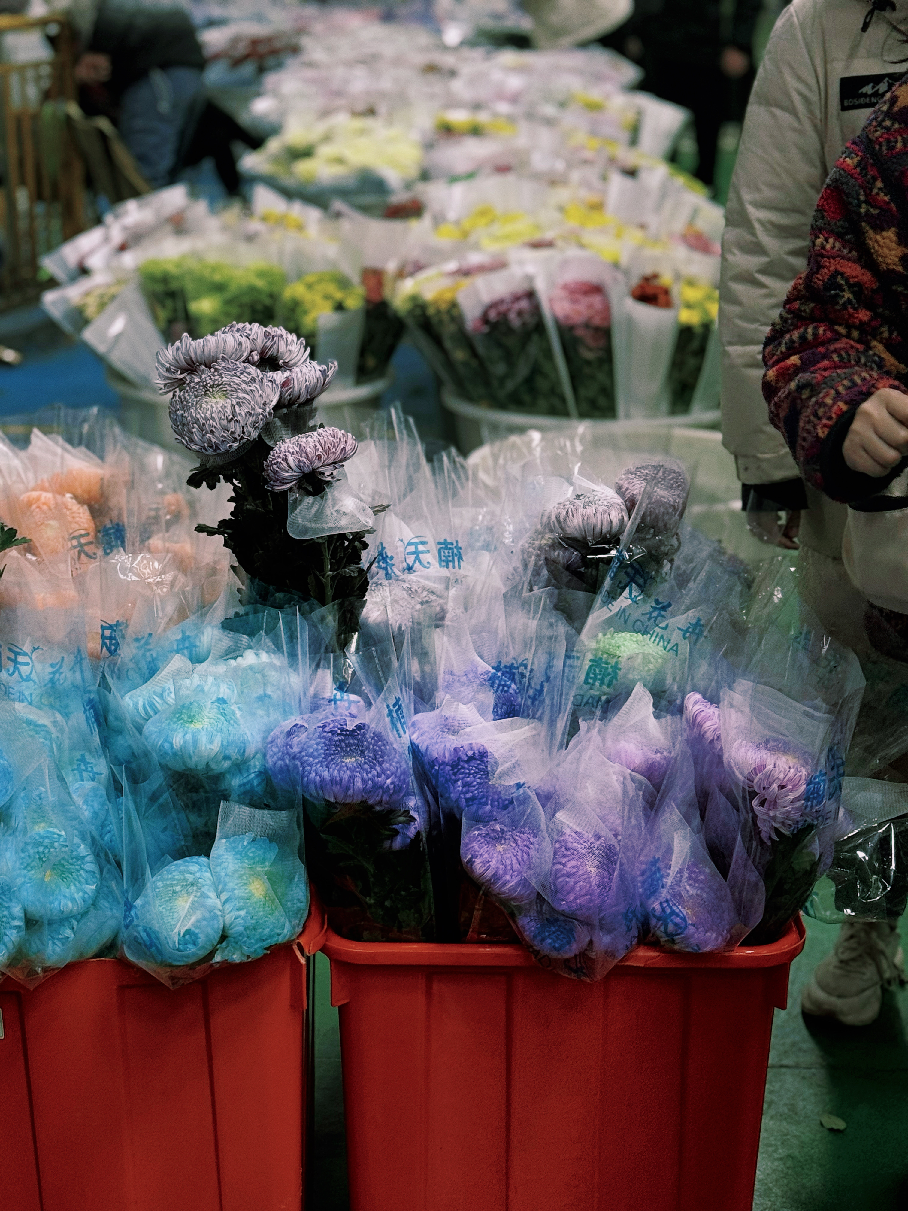 Last day in 云南把花当菜卖的斗南花市震撼  