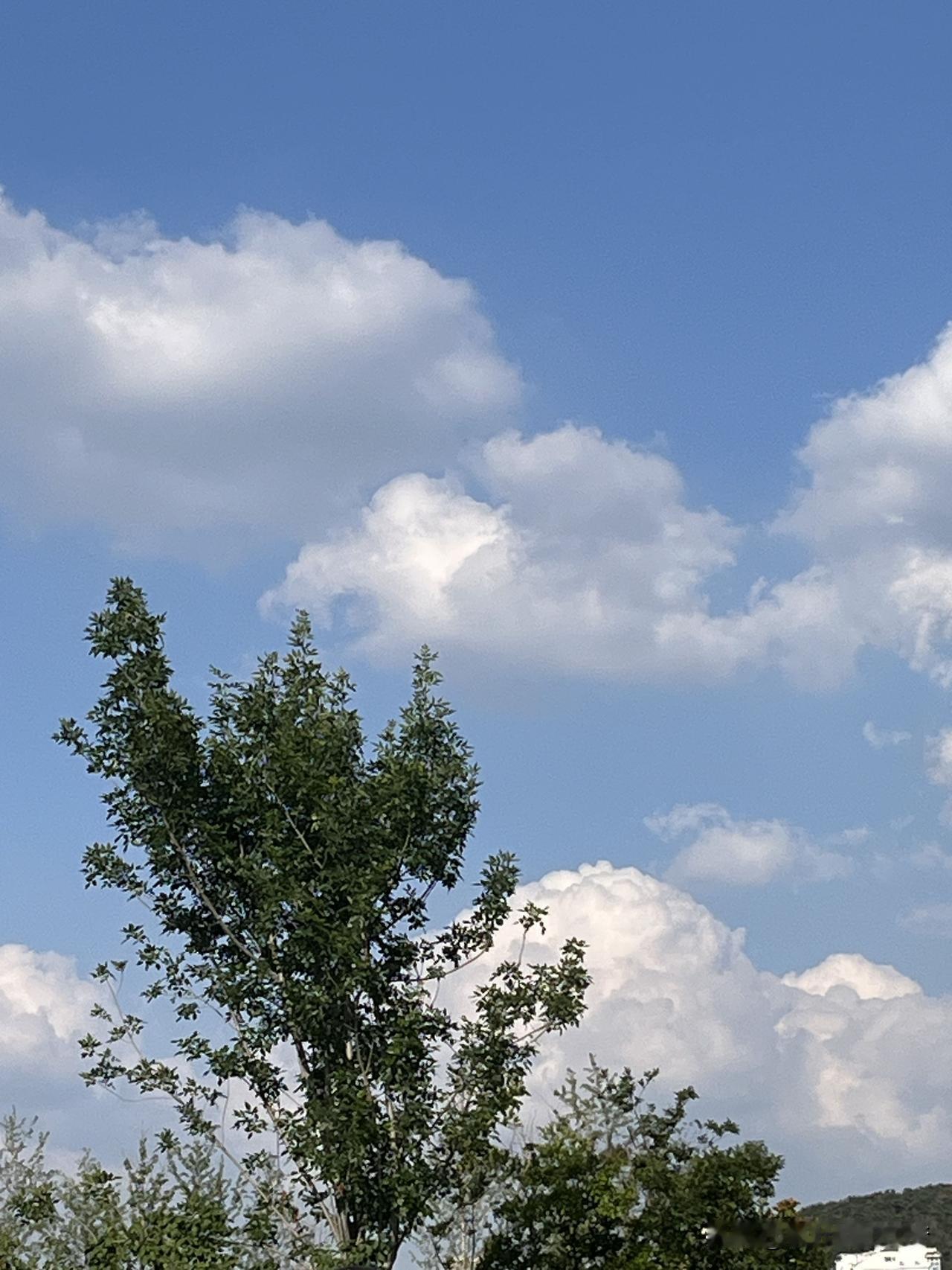 有段话，让人清醒：“草枯了，来年继续发芽，花落了，明年还会再开，而人，只有一次生