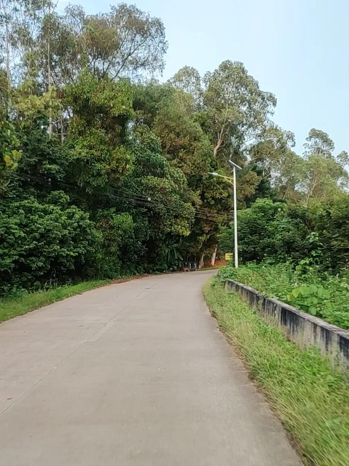 今天去农村溜达，在乡间小路上忍不住各种随手拍。那小路弯弯曲曲的，像一条丝带飘在田