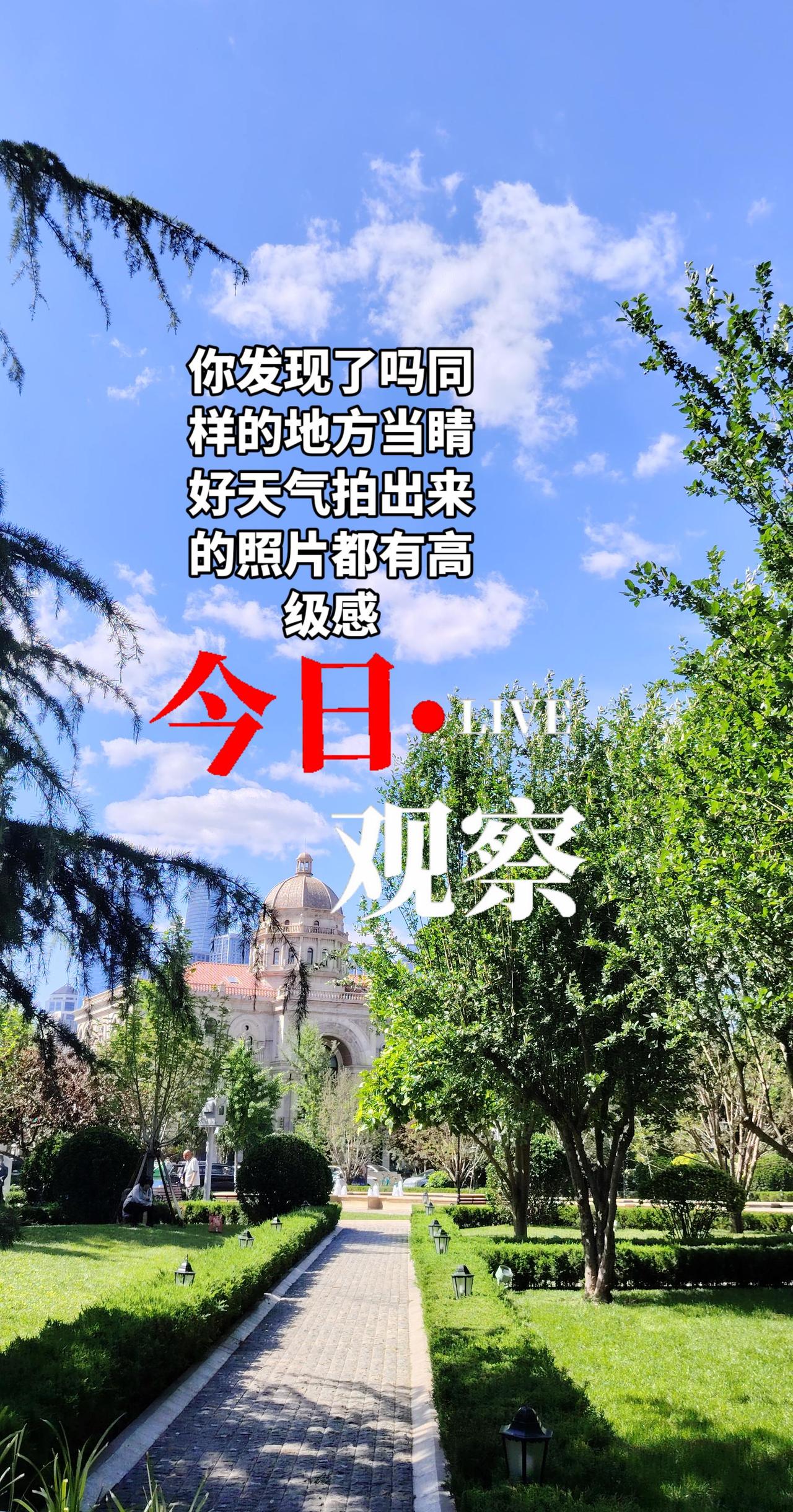 真实生活分享计划 身边有美景无需远游 公园风光随手拍 治愈系风景拄用镜头捕捉初夏