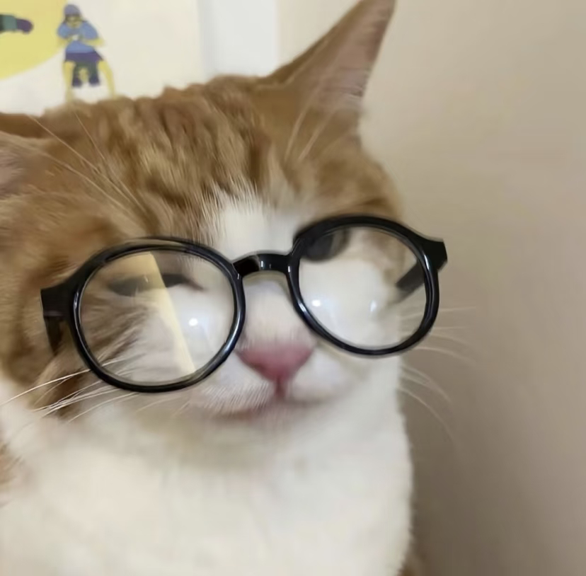 𝐀𝐯𝐚𝐭𝐚𝐫｜审咪积累 地球村已被猫咪攻占 =⩌⩊⩌= 