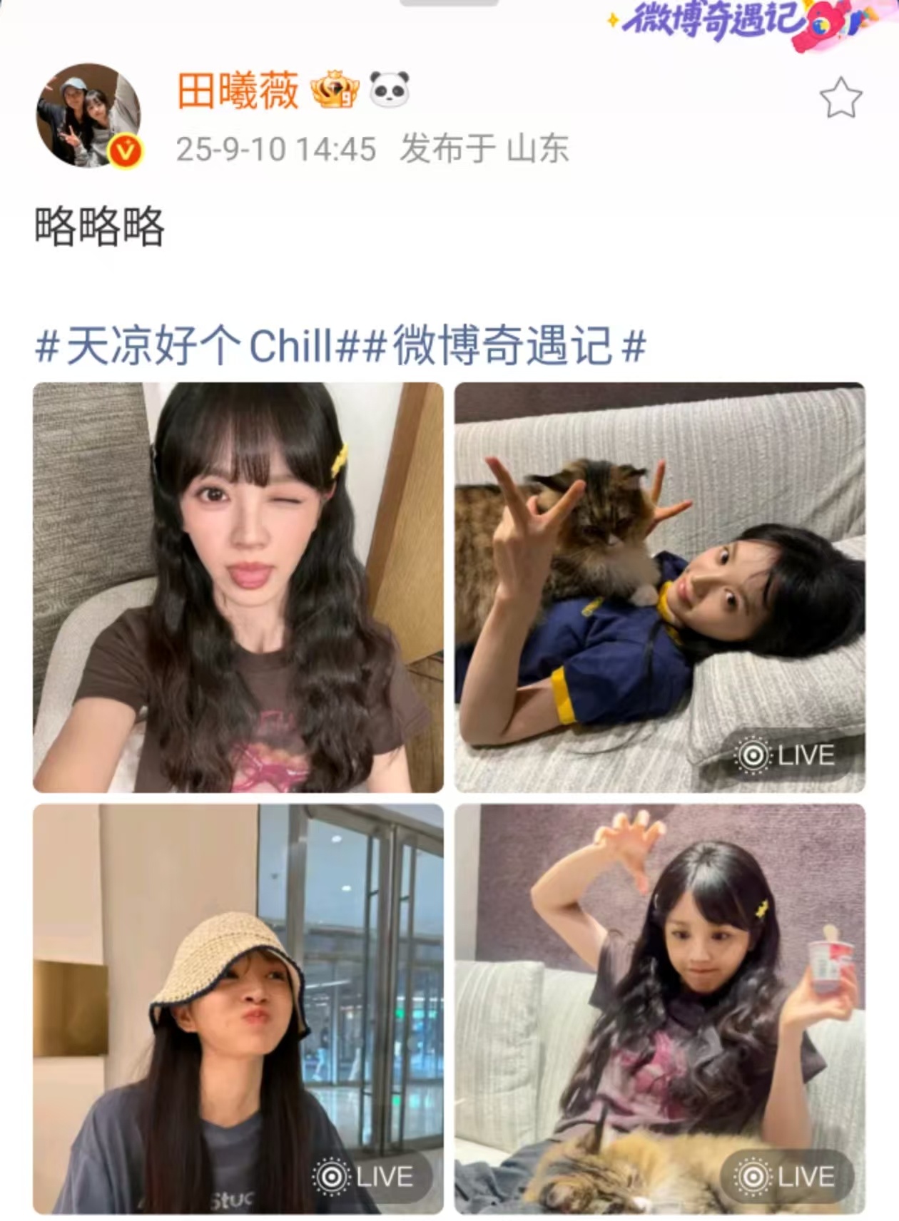 田曦薇略略略四宫格田曦薇猫猫略略略田曦薇略略略四宫格，好可爱，[努力][努力] 