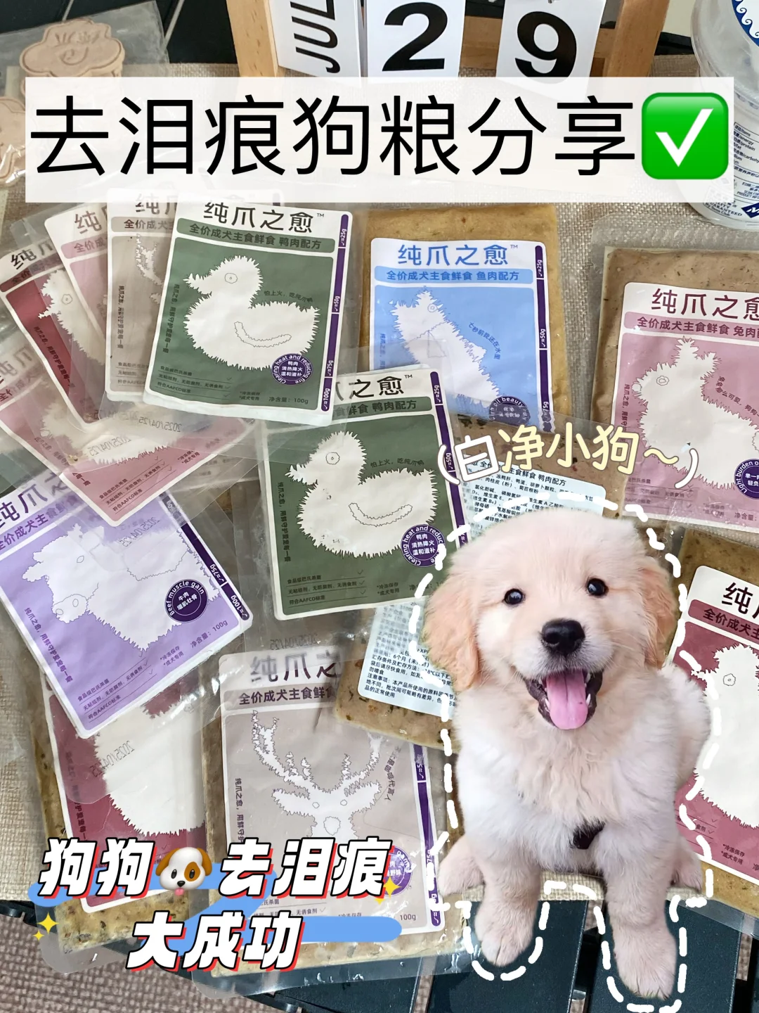 去泪痕成功！只有养狗人才懂吃鲜食的含金量