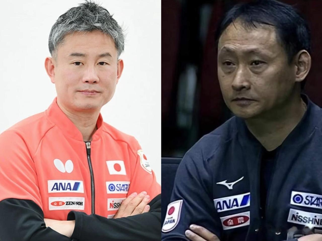 为啥中泽锐和张本宇国内的风评如此差呢？要说出国谋生，没人反感，人往高处走，也能理