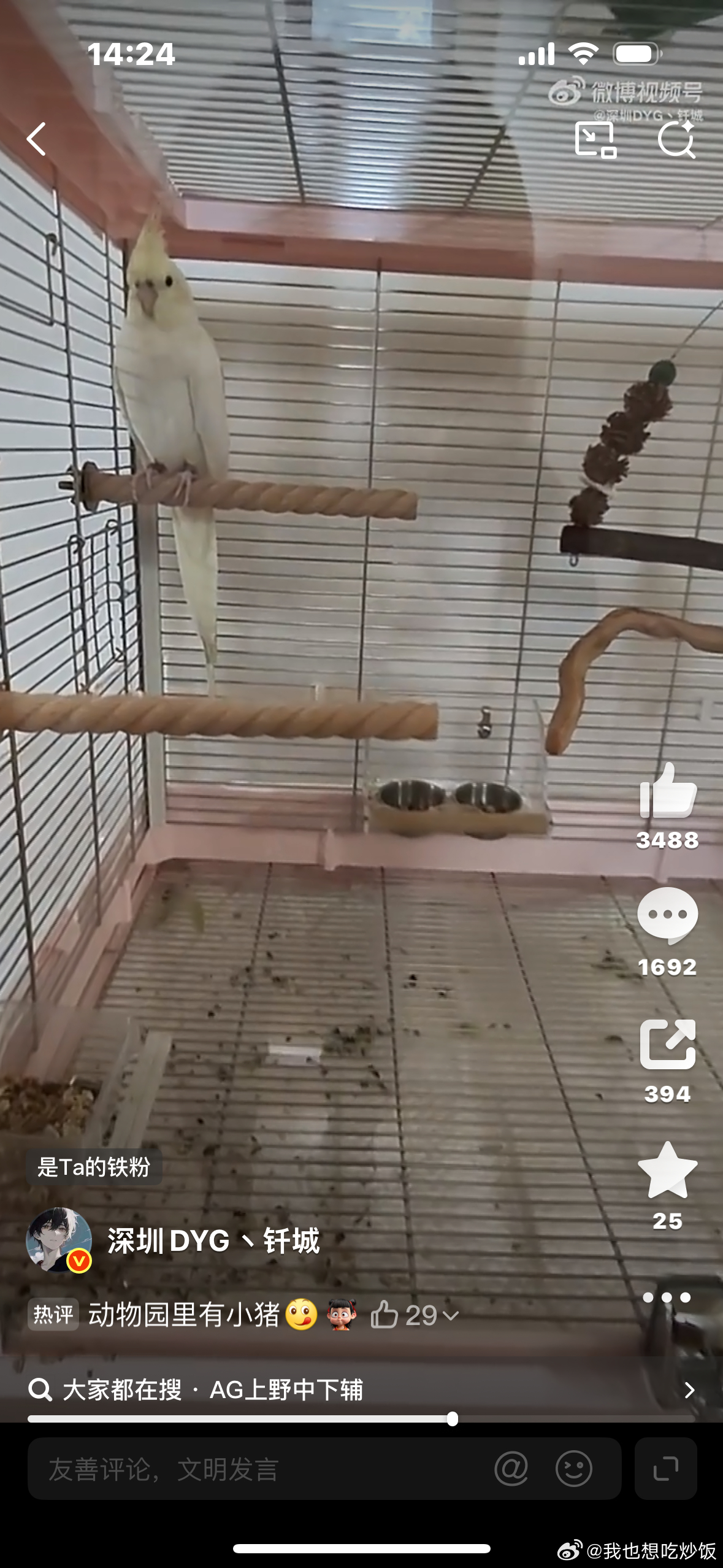 诸葛神了管孤独的鸟神叫鸟模，如果这里有一个孤独的男人那么他就是男模？ 