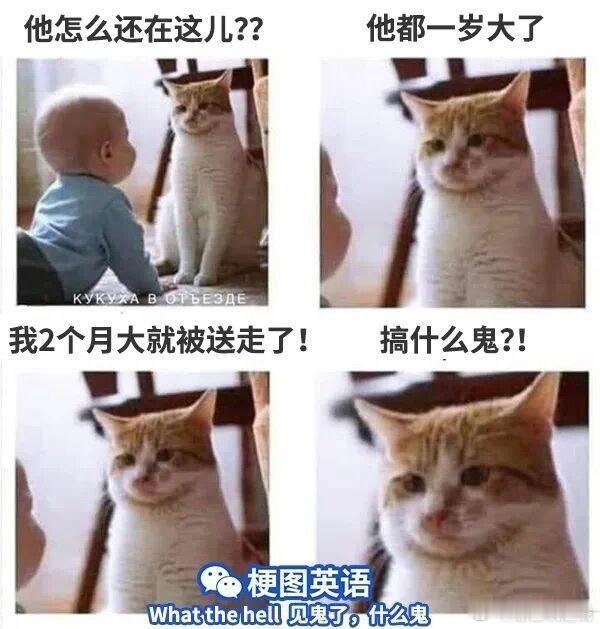 分享图片 ​​​